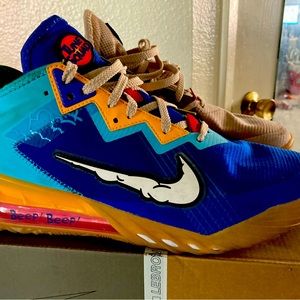Lebron 18 Willie E Coyote VS Roadrunner